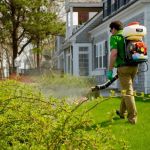 Evolution Pest Solutions