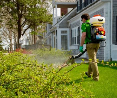 Evolution Pest Solutions