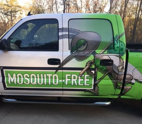 Mosquito-Free Picture 5