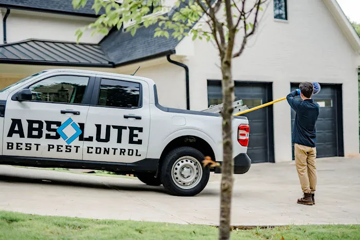 Absolute Best Pest Control Picture 1