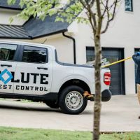 Absolute Best Pest Control ico