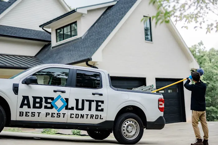 Absolute Best Pest Control Picture 5