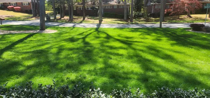 King GREEN Picture 6