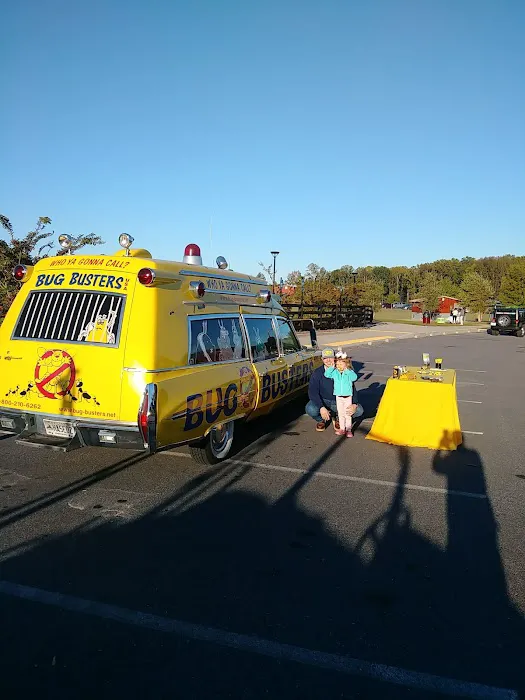 Bug Busters, Inc. Picture 5