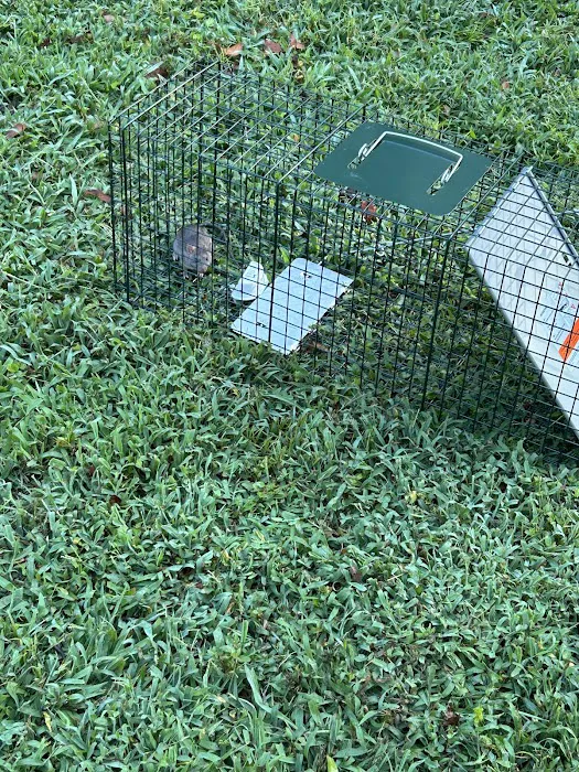 Bug Busters, Inc. Picture 2