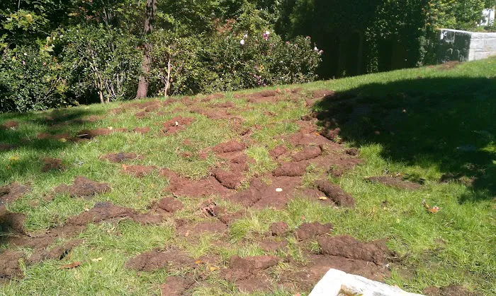 Perimeter Wildlife Control, LLC. Picture 4