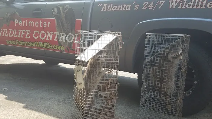 Perimeter Wildlife Control, LLC. Picture 1