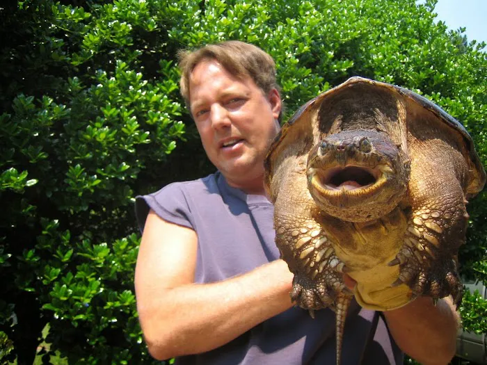 All Wildlife Control Picture 3