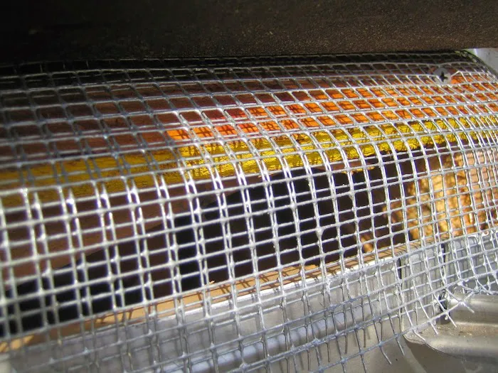 All Wildlife Control Picture 6