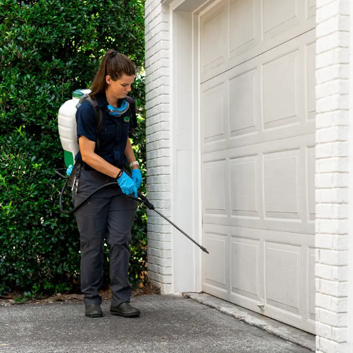 got bugs? Termite and Pest Solutions Picture 8