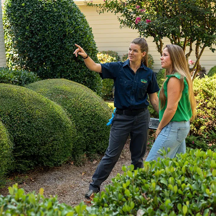 got bugs? Termite and Pest Solutions Picture 6
