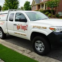 got bugs? Termite and Pest Solutions ico