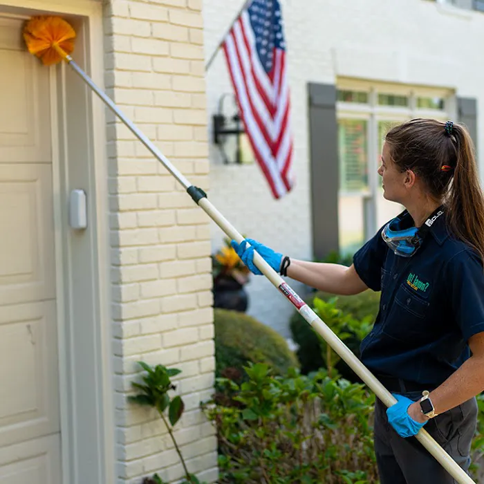 got bugs? Termite and Pest Solutions Picture 5
