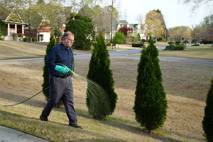 got bugs? Termite and Pest Solutions Picture 4