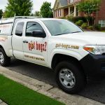 got bugs? Termite and Pest Solutions