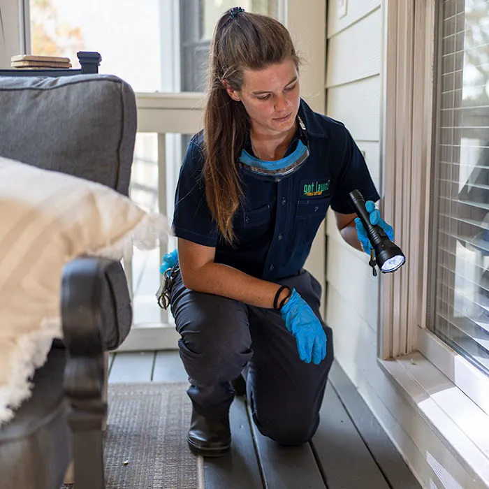 got bugs? Termite and Pest Solutions Picture 8
