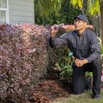 Active Pest Control