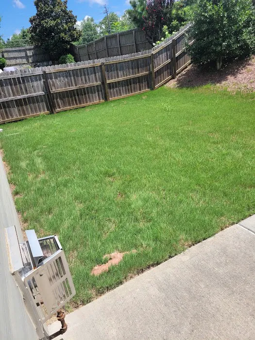 Active Pest Control Picture 8
