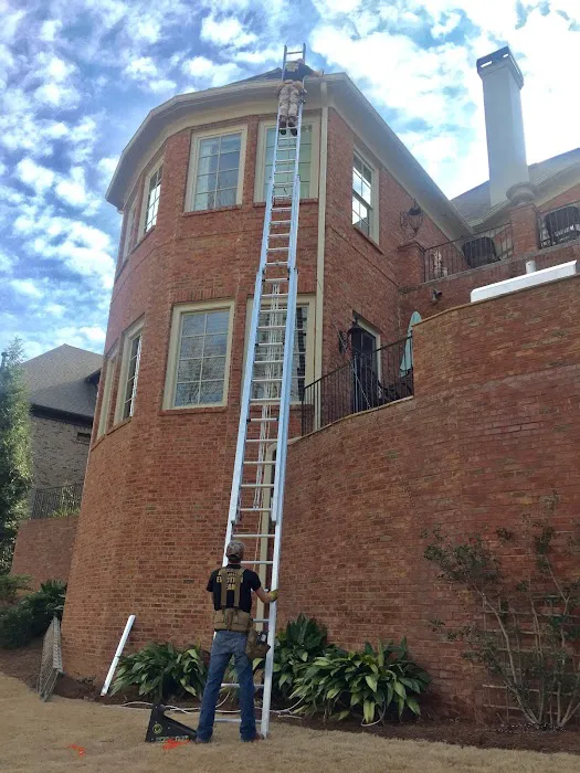 A & A Wildlife and Home Solutions Picture 6