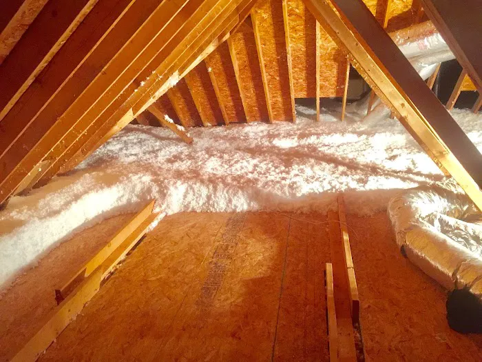A & A Wildlife and Home Solutions Picture 3