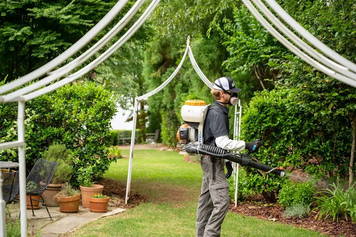 Bug House Pest Control Picture 4