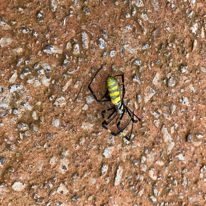 Attila Pest Control Picture 2