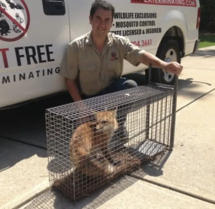 Pest free exterminating Picture 5