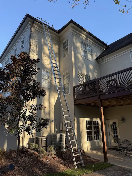 Pest free exterminating Picture 6