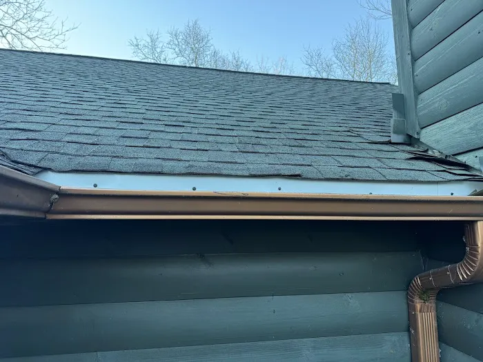 Pest free exterminating Picture 3