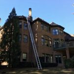 Pest free exterminating