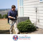 American Pest Control