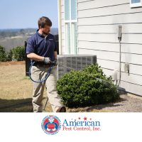 American Pest Control ico