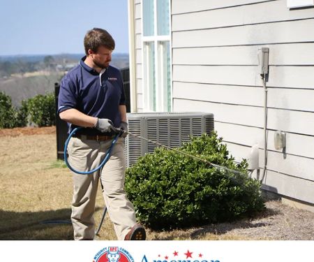 American Pest Control