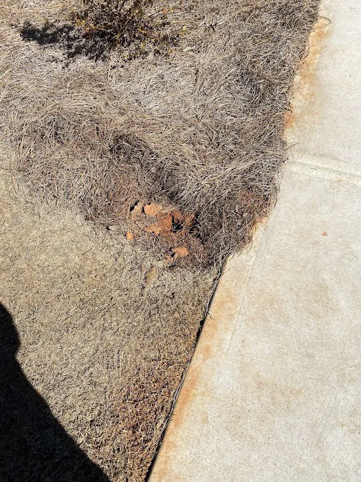 Bizzy Bee Exterminators Picture 3