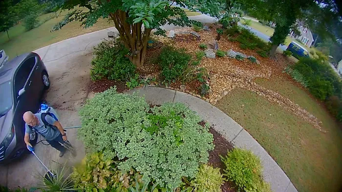 Top Turf Lawn Care and Pest Management Picture 7