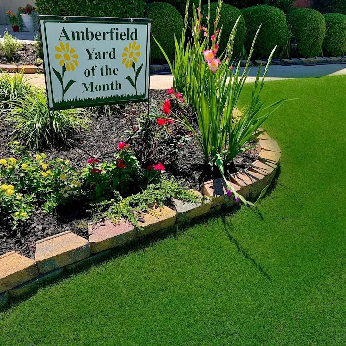 Top Turf Lawn Care and Pest Management Picture 2