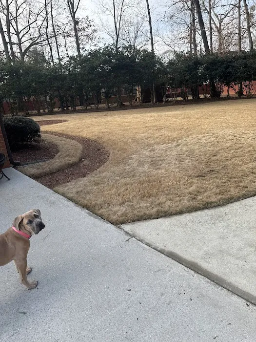 Top Turf Lawn Care and Pest Management Picture 6