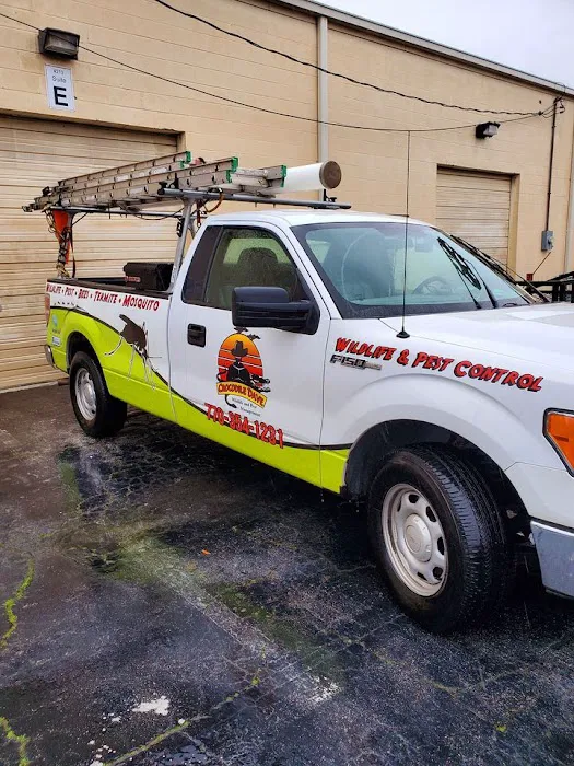 Crocodile Dave Pest Control Picture 6