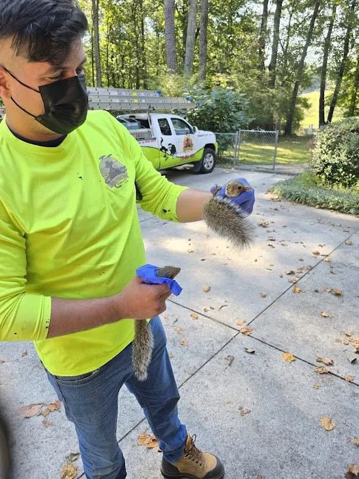 Crocodile Dave Pest Control Picture 1