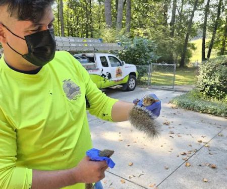 Crocodile Dave Pest Control