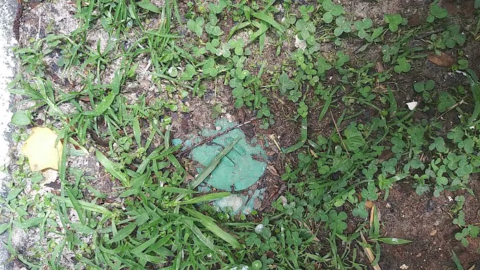 Terminix Picture 4