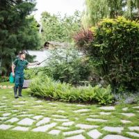 First Choice Pest Control LLC ico