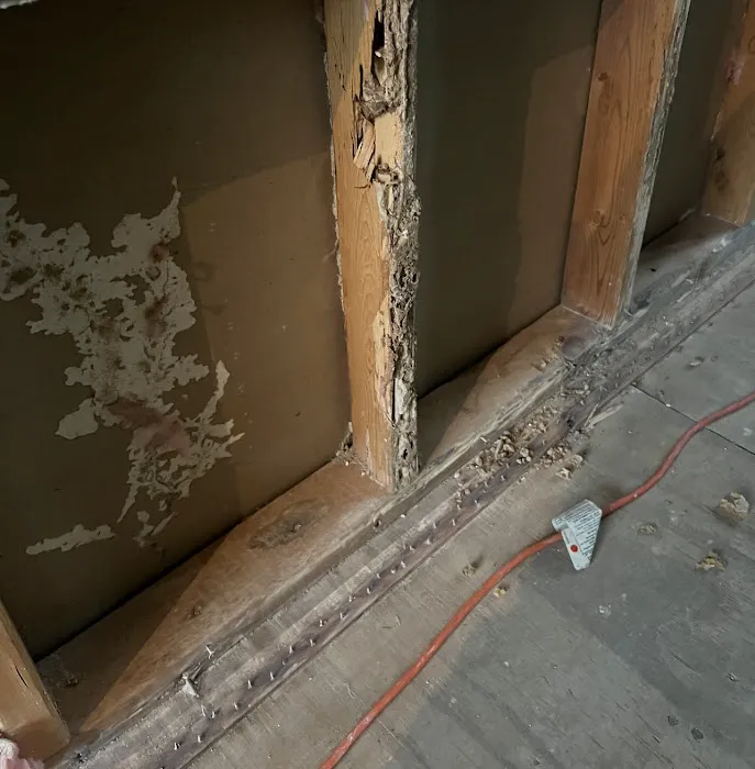 First Choice Pest Control LLC Picture 3