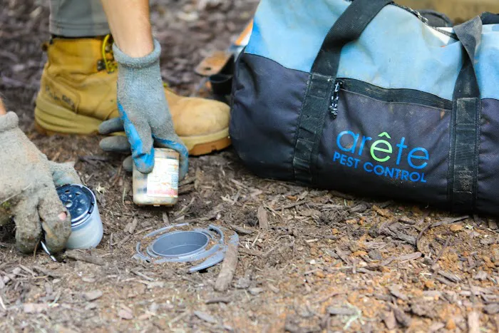 Arete Pest Control Picture 7