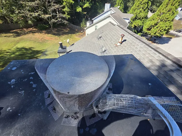 Attic Kings, Animal Removal & Exclusion Picture 4
