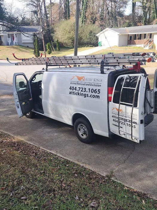 Attic Kings, Animal Removal & Exclusion Picture 9