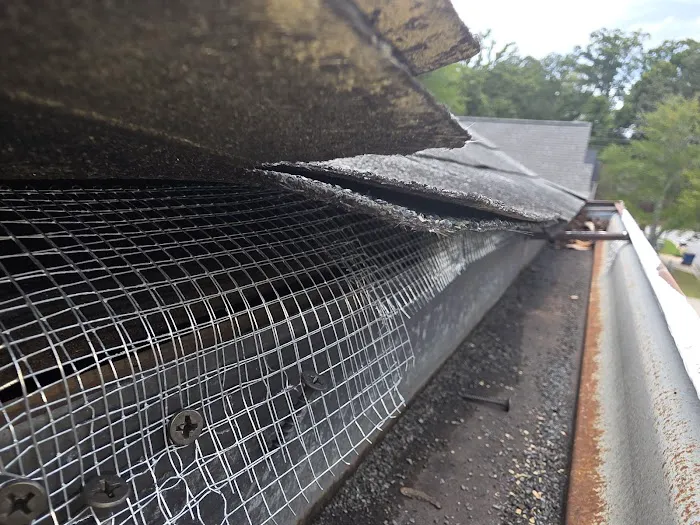 Attic Kings, Animal Removal & Exclusion Picture 3