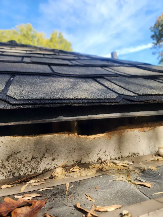Attic Kings, Animal Removal & Exclusion Picture 10