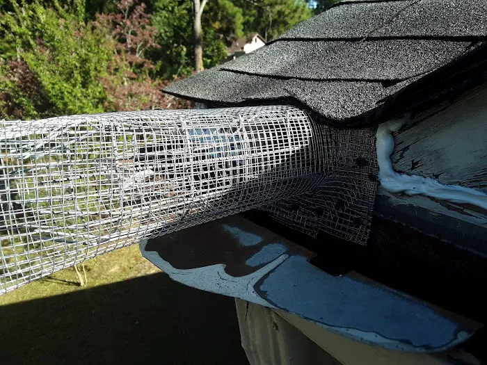 Attic Kings, Animal Removal & Exclusion Picture 2