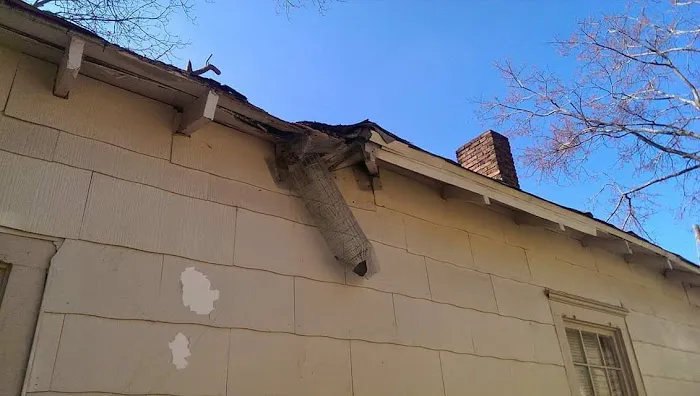 Attic Kings, Animal Removal & Exclusion Picture 1